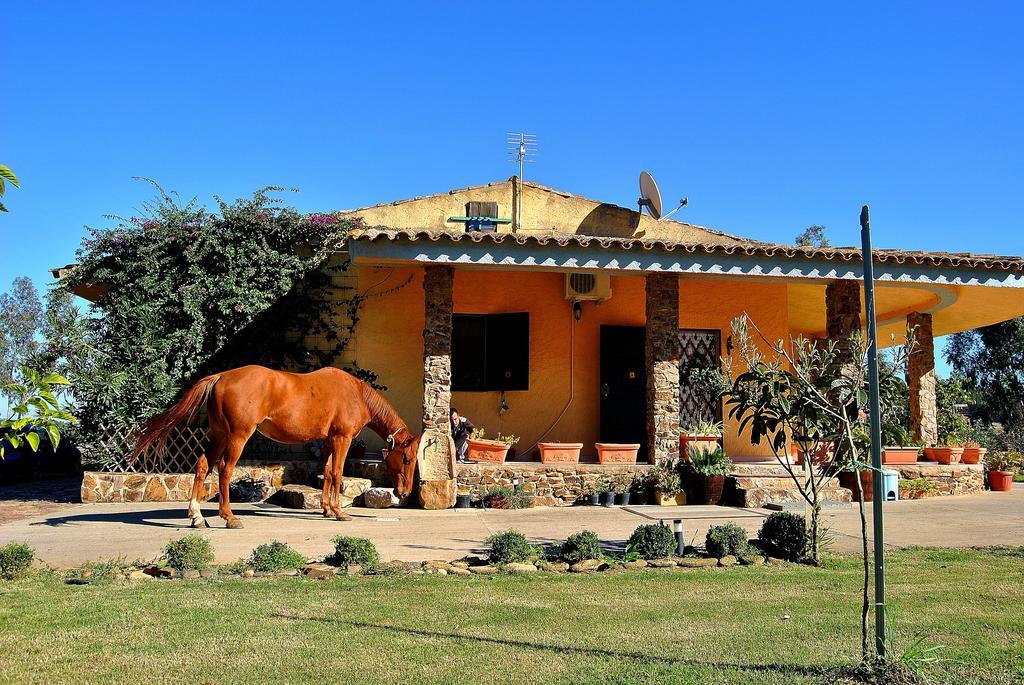 Agriturismo Monte Majore *