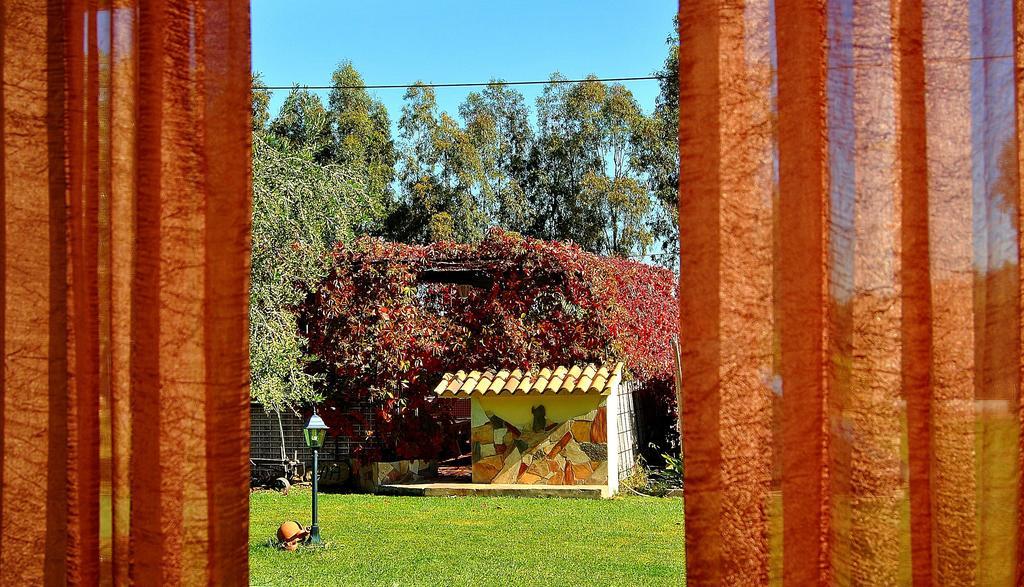 Farm stay Agriturismo Monte Majore *