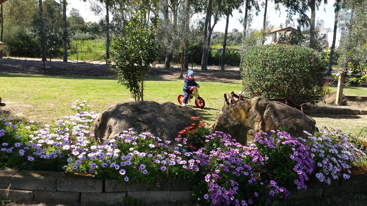 Agriturismo Monte Majore Farm stay *